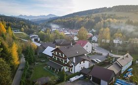 Penzion Alpsky Dom